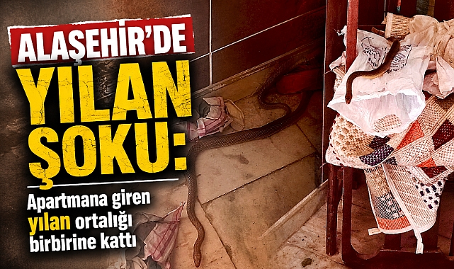 Alaşehir’de Yılan Paniği: Apartman Sakinleri Kapıları Kapalı