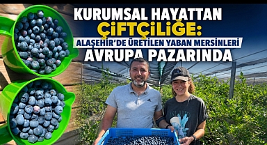 Alaşehir'den Dünyaya Uzanan Başarı Hikâyesi: Yaban Mersini İhracatı 7 Ülkeye Ulaştı