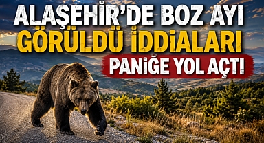 Alaşehir Kırsalında Ayı Görüldüğü İddiası Sosyal Medyada Gündem Oldu