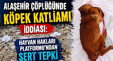Alaşehir'de Kan Donduran İddia: Eski Çöplükte Çuvallar İçinde Çok Sayıda Hayvan Cesedi Bulundu!