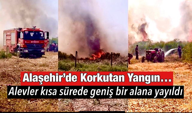 Alaşehir'de Kuru Otluk Alanda Yangın Çıktı! Rüzgarın Etkisiyle Geniş Alana Yayıldı