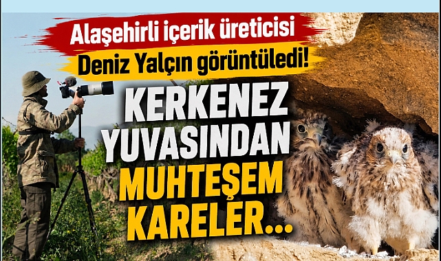 Alaşehir'in Yaban Hayatı Dünyaya Açılıyor: Deniz Yalçın'dan Bu Kez Kerkenez Yuvası Belgeseli